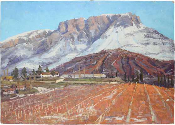 Чурсин Клим Никифорович. Виноградники в предгорьях